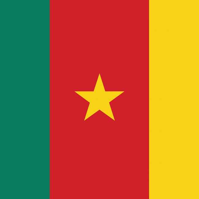 Drapeau du Cameroun
