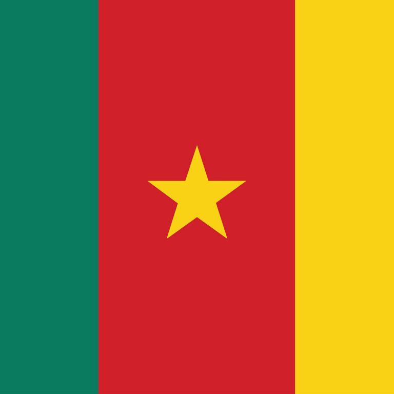 Flagge von Kamerun