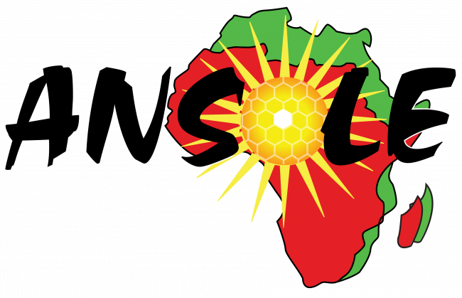 ansole_logo