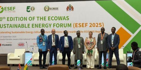 image_processing20250924-91504-mp3x99